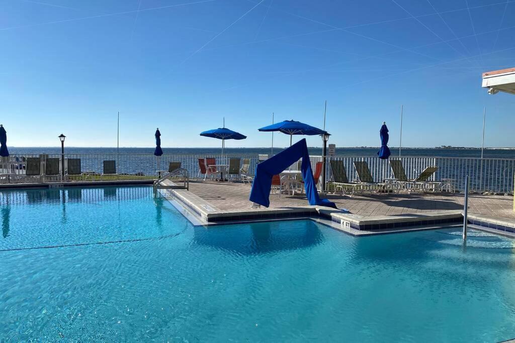 Appartement 421-fully Renovated, Wifi, Pool, Amazing Views, Near Bucs Stadium *